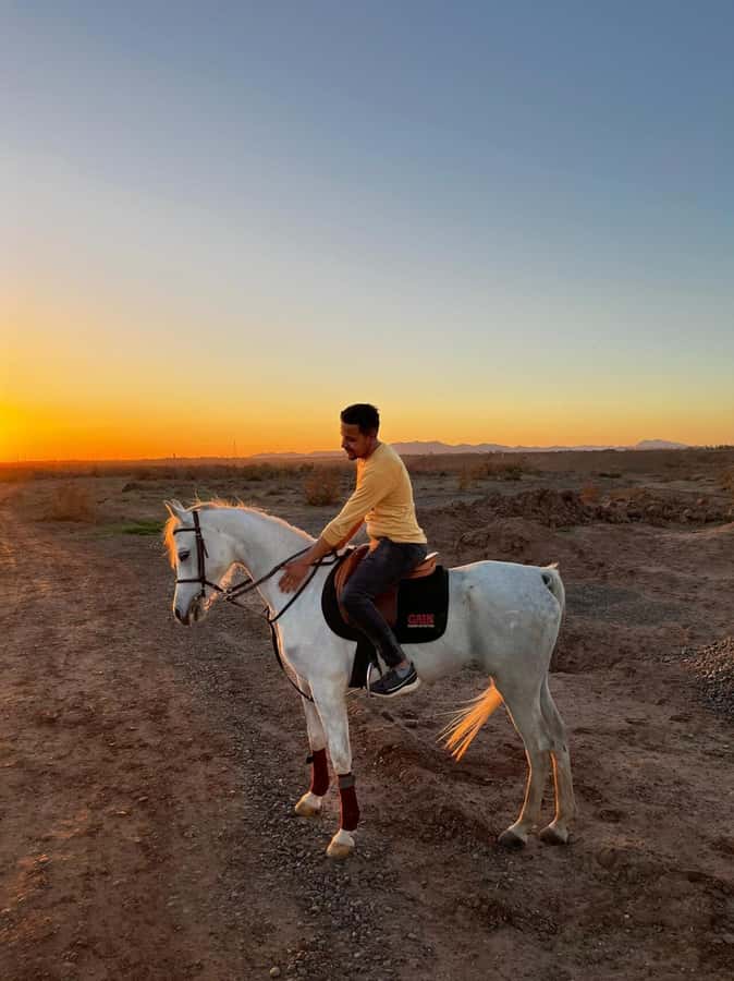 Marrakech: Private Horseback Tour in the Palm Grove with Tea - Key points to know before you book