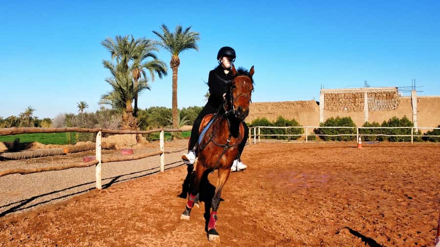 Marrakech: Private Horseback Tour in the Palm Grove with Tea - Leaving the Medina for Marrakech’s palm grove