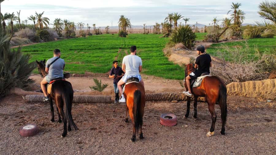Marrakech: Private Horseback Tour in the Palm Grove with Tea - Riding beneath palms and beside olive trees