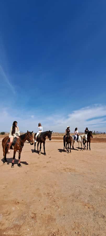 Marrakech: Private Horseback Tour in the Palm Grove with Tea - Walking, trotting, and galloping: choosing your pace