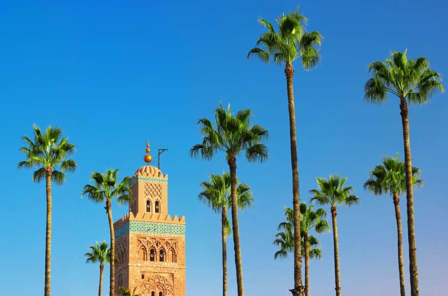 Marrakech Private Medina Tour: Bahia Palace & Ben Youssef - Walk the spice lanes and artisan workshops