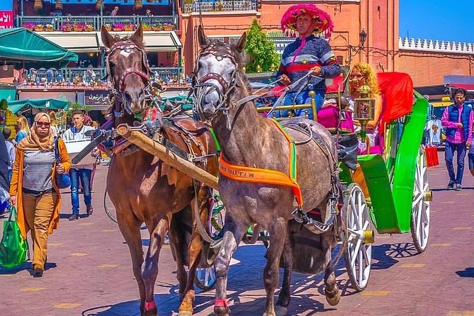 Marrakech Private Souks Tour: Exclusive Shopping Experience - Olive oil, spices, and essential oils
