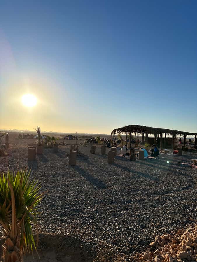 Marrakech: quad Adventure at the Dunes of the palmery desert - Is $17 good value?