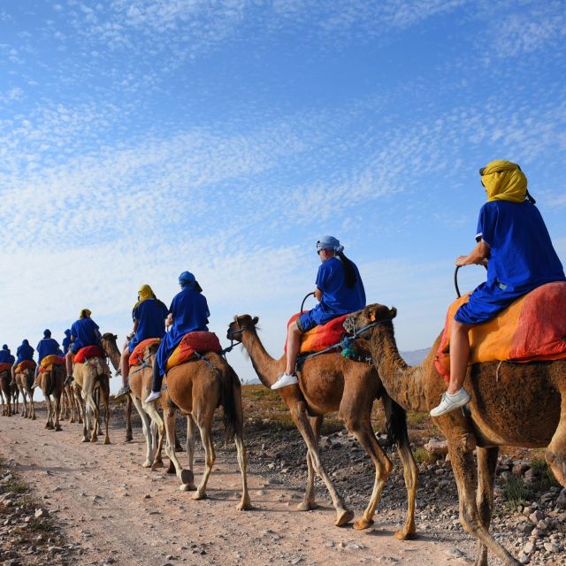 Marrakech: quad bike and Camel Ride in Marrakech - Who will enjoy this outing most