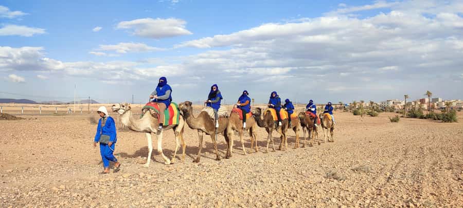 Marrakech: quad bike and Camel Ride in Marrakech - Pickup from Marrakech and the ride to the palms