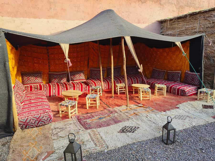 Marrakech: Quad Bike and Camel Ride Tour - Riding past palms, villages, and mountain views