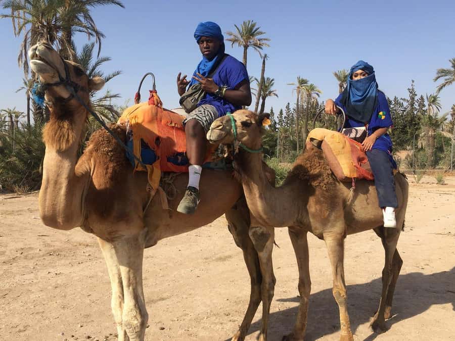 Marrakech: Quad Bike and Camel Ride Tour - Families, teenagers, and large groups