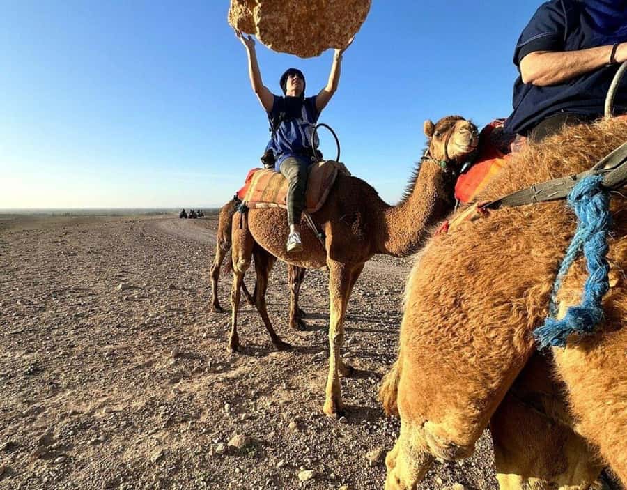 Marrakech : Quad Bike and Camel Ride with dinner in Agafay - A short stop at an argan oil cooperative