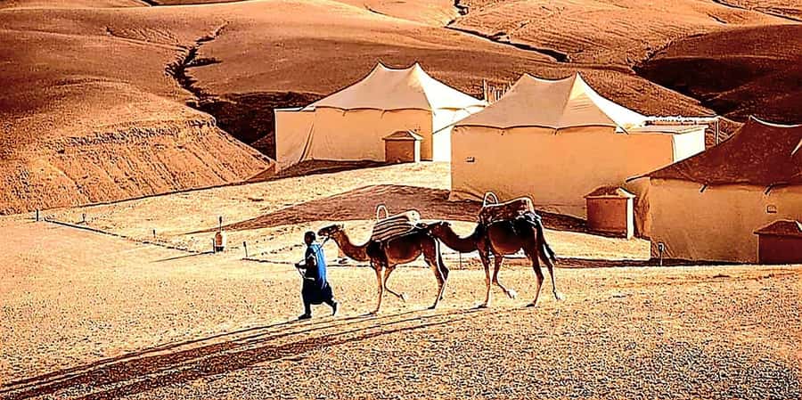 Marrakech : Quad Bike and Camel Ride with dinner in Agafay - The guides can shape the whole evening