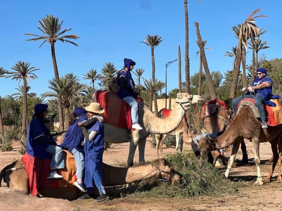 Marrakech: Quad Bike excursion at the sunset with Tea Break - Riding through palm groves and the Jbilet Desert