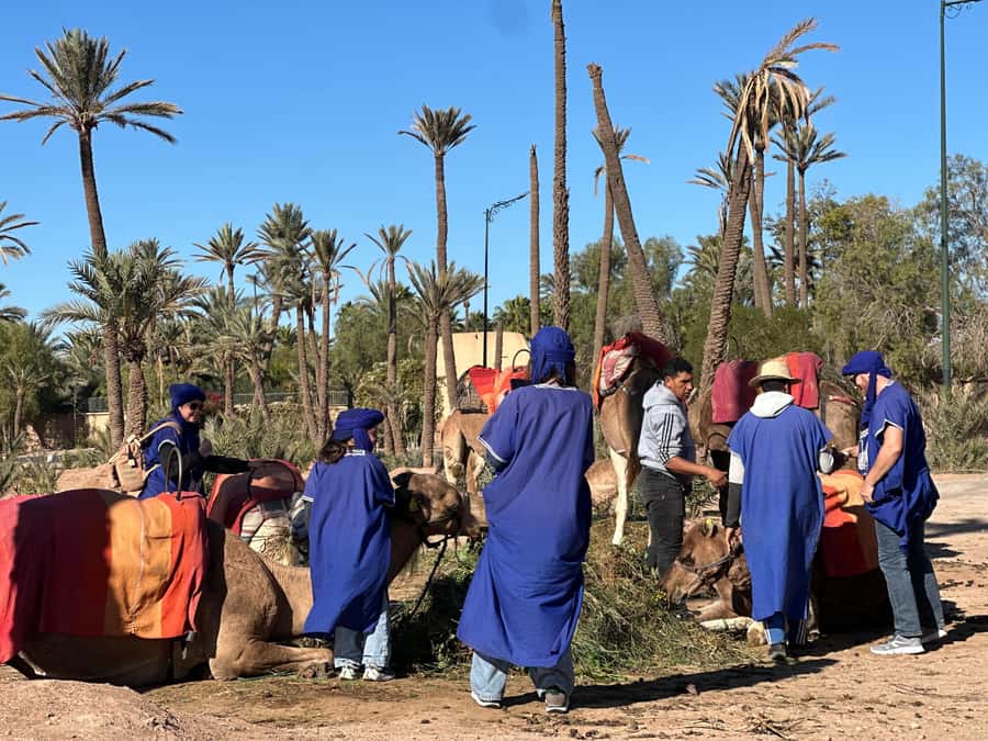 Marrakech: Quad Bike excursion at the sunset with Tea Break - Should you book the sunset quad excursion?