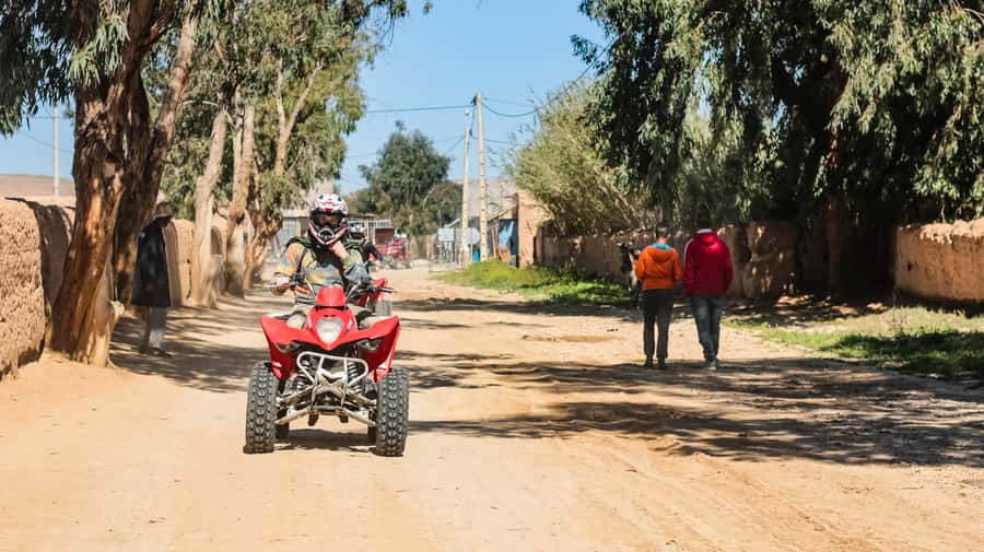 Marrakech Quad Bike Experience: Desert and Palmeraie - Key points to know before you book