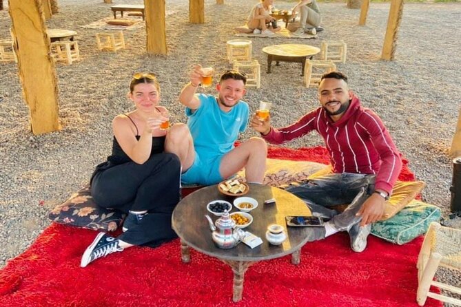 Marrakech Quad Bike Experience with Hotel Pick up and Drop Off - Who should book this Palmeraie excursion?