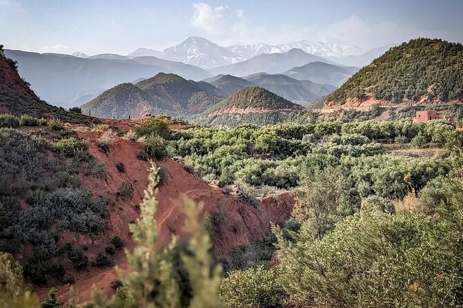 Marrakech: Quad Bike, Sunset, and Dinner Show in Agafay Desert - Timing, comfort, and who should book