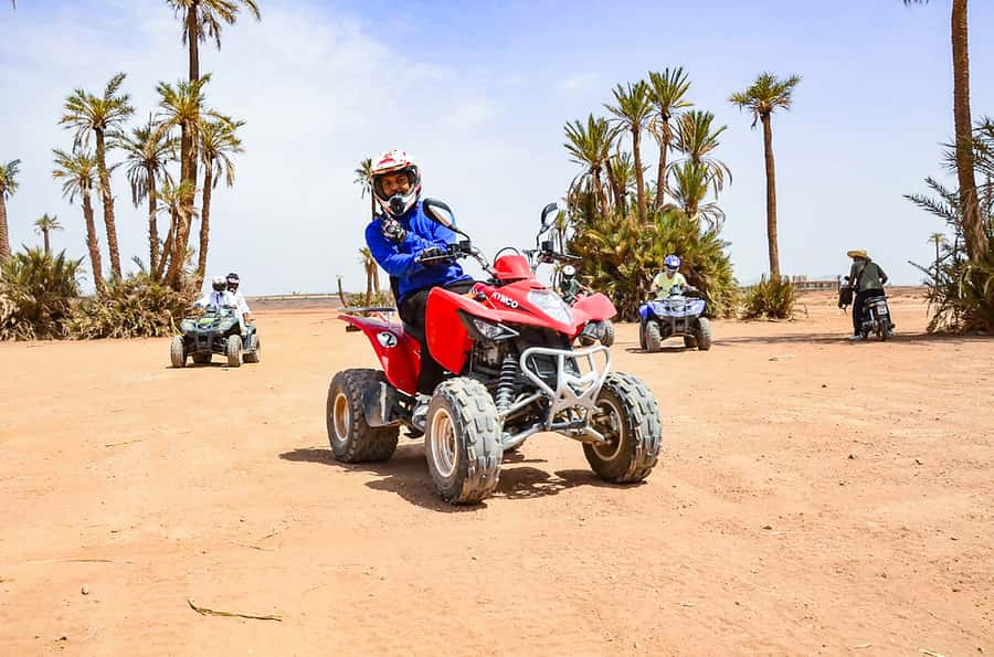 Marrakech: Quad Bike Tour to Palm Oasis and Jbilat Desert - The palm-grove photo stop