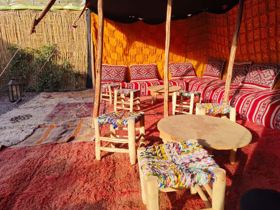 Marrakech: Quad Bike Tour to Palm Oasis and Jbilat Desert - Is $15 good value for three hours?