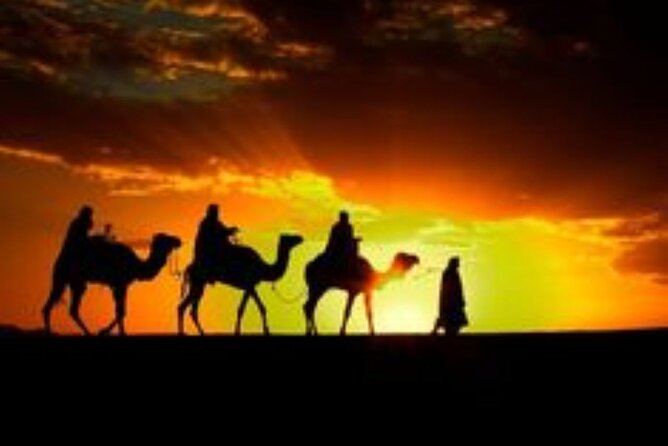 Marrakech: Quad & Camel Ride with Sunset, Dinner & Show - Key points to know before booking