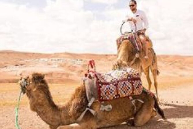 Marrakech: Quad & Camel Ride with Sunset, Dinner & Show - A short camel ride for a slower view