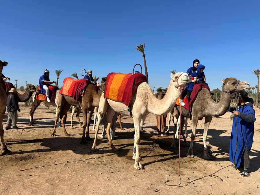 Marrakech:quad excursion at Jbilet desert with Moroccan tea - Moving into the open Jbilet desert