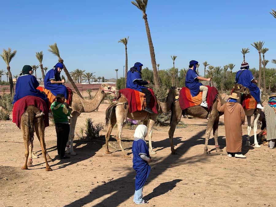 Marrakech:quad excursion at Jbilet desert with Moroccan tea - Guides, pace, and safety