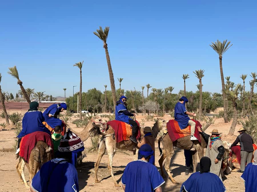 Marrakech:quad excursion at Jbilet desert with Moroccan tea - What the $17 price really covers