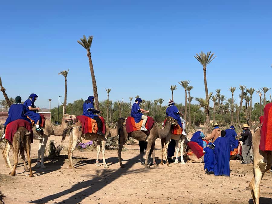 Marrakech:quad excursion at Jbilet desert with Moroccan tea - Who will enjoy this outing most