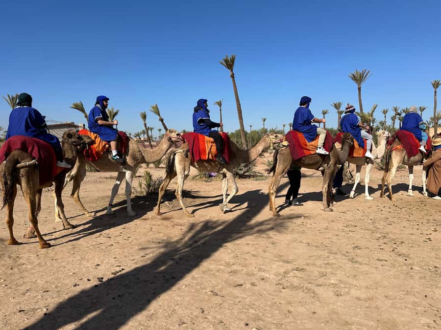 Marrakech:quad excursion at Jbilet desert with Moroccan tea - Should you book the Jbilet quad excursion?