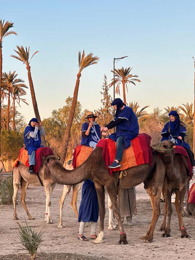 Marrakech:quad excursion at Jbilet desert with Moroccan tea - Riding through the palm grove