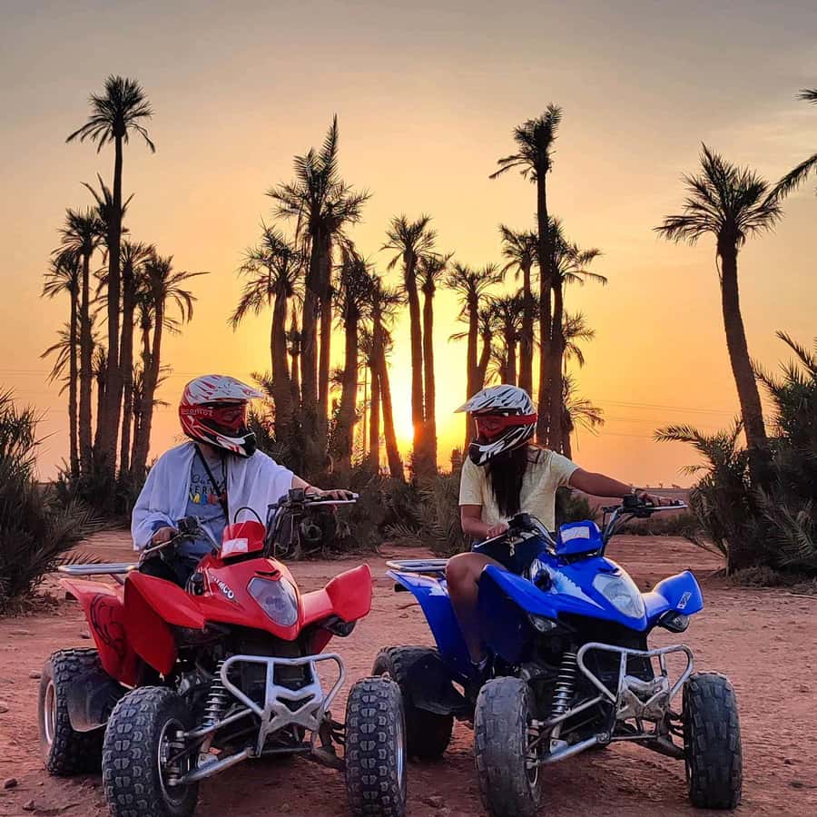Marrakech: Quad excursion in the palm trees of Marrakech - The main ride: palm groves, tracks, and village views