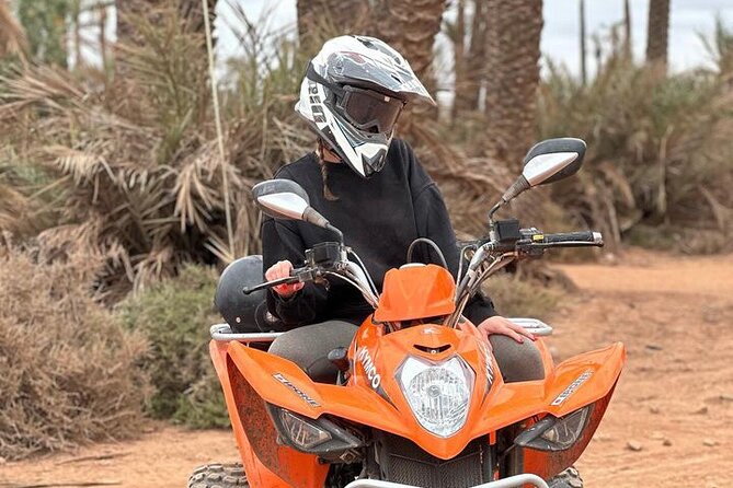 Marrakech: Quad excursion to the palm grove and Jbilets desert - Is $52.48 a fair price?
