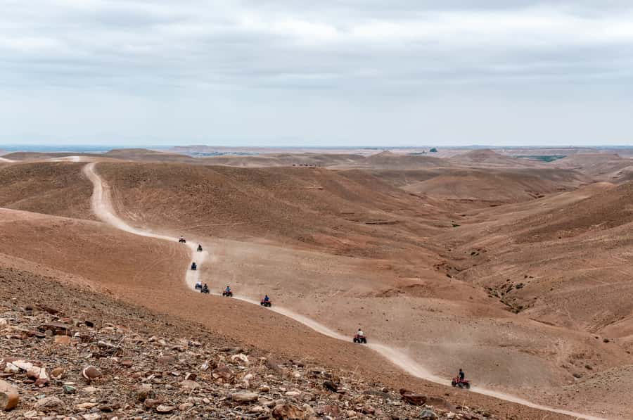 Marrakech: Quad Tour in Jbilets Desert with Palm Grove - Sharing a quad or paying for your own
