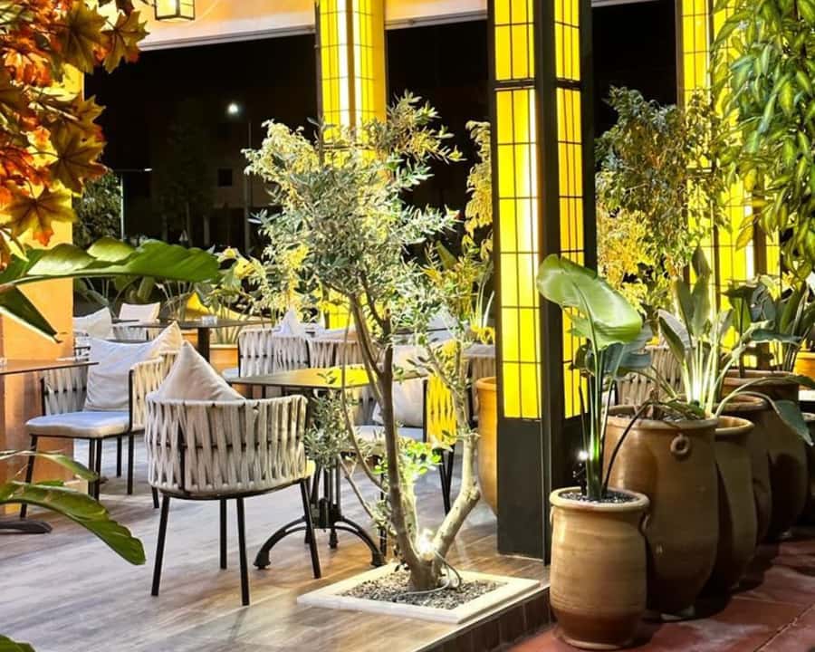 Marrakech: Restaurant Dinner Experience with Hotel Pickup - The international menu: a welcome break from tagine