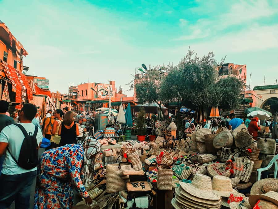 Marrakech & Souk Shopping Tour. - Who should book it?