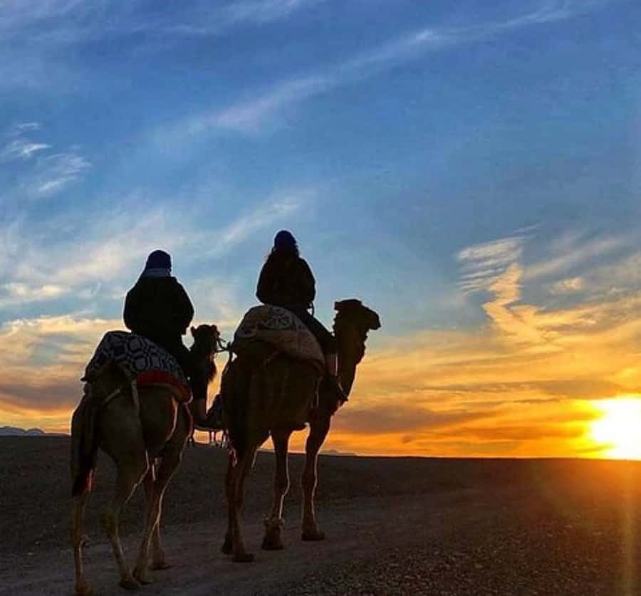 Marrakech: Sunrise Desert Tour with Camel Ride and Breakfast - Key points to know before booking