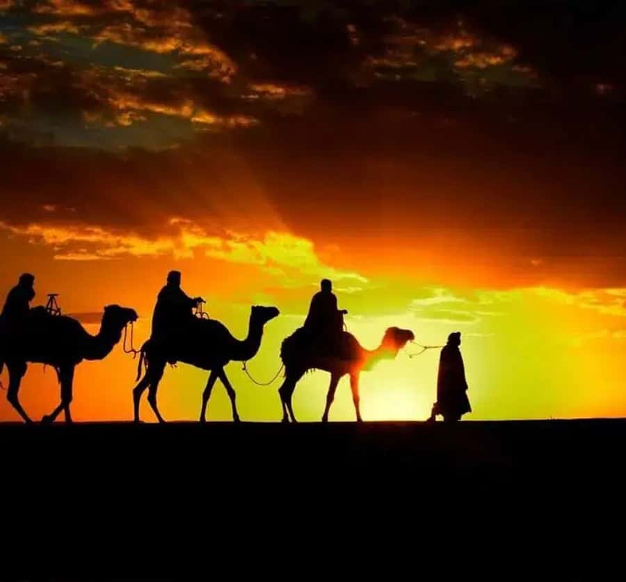 Marrakech: Sunrise Desert Tour with Camel Ride and Breakfast - Why the early hour makes this trip work