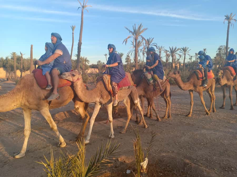 Marrakech: Sunset Camel Ride in the Palmeraie - Meeting the camel caravan