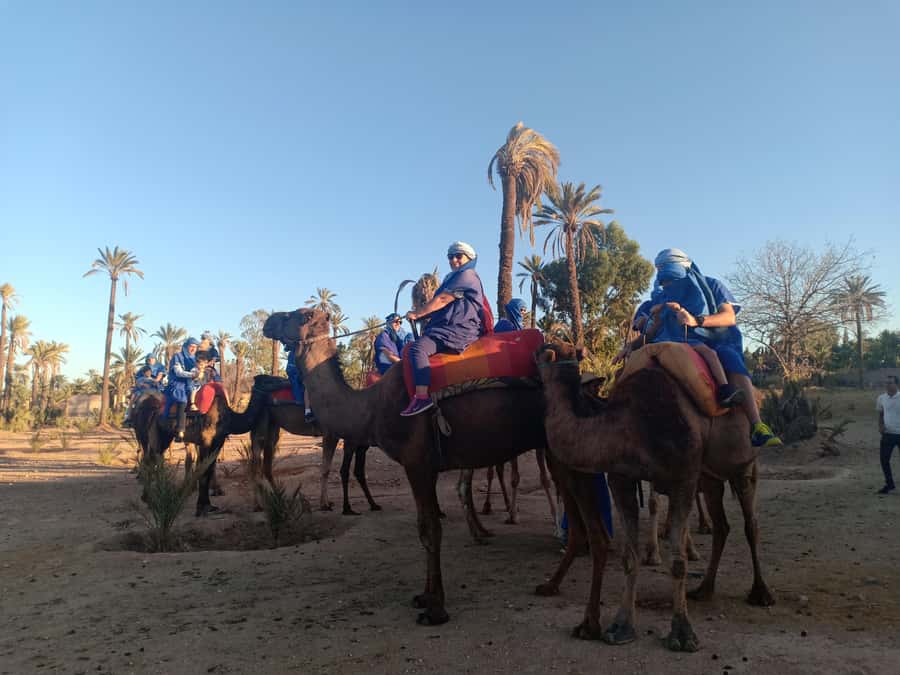 Marrakech: Sunset Camel Ride in the Palmeraie - Tuareg robes and the shesh turban