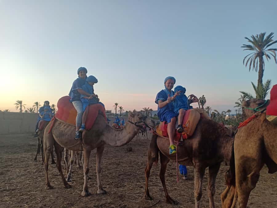 Marrakech: Sunset Camel Ride in the Palmeraie - One hour among the palms