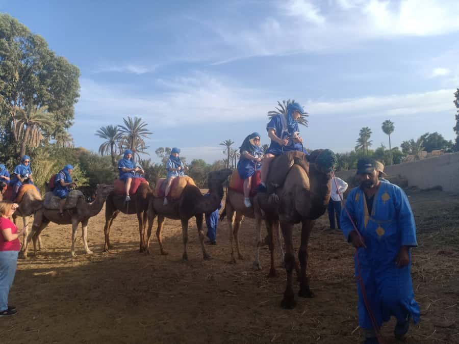 Marrakech: Sunset Camel Ride in the Palmeraie - Pickup from your riad or hotel