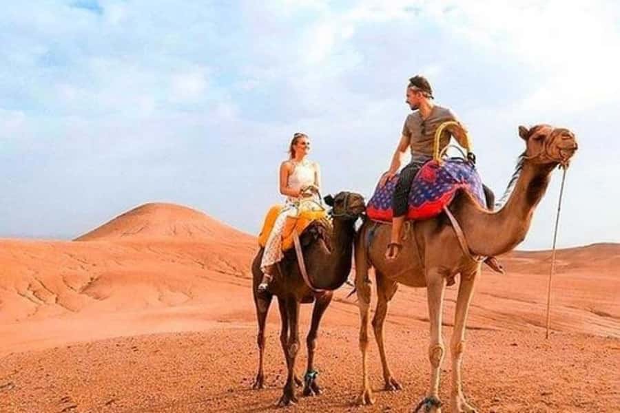Marrakech: Sunset Dinner in Agafay Desert with Camel Ride - Price, comfort, and practical value