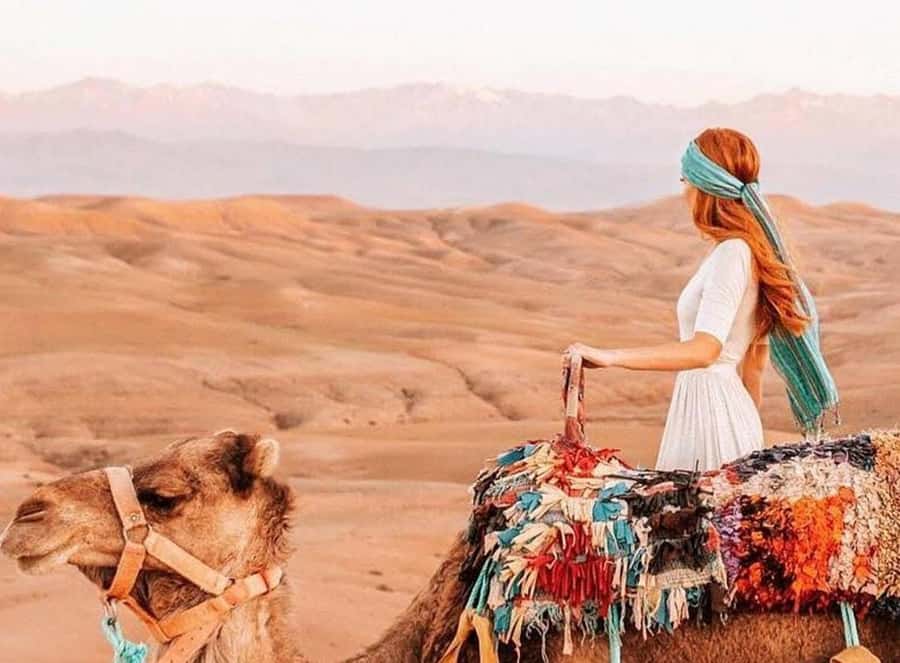 Marrakech: Sunset Dinner in Agafay Desert with Camel Ride - Leaving Marrakech for the Agafay desert
