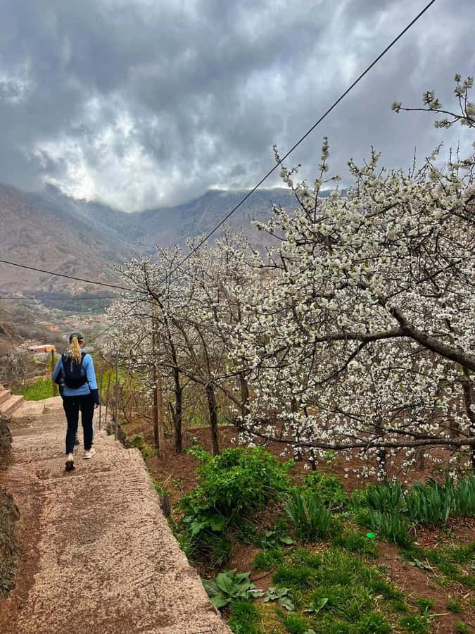 Marrakech: Tedli Summit Atlas Mountains Day Hike & Lunch - Starting at Imlil, 1,740 meters above sea level