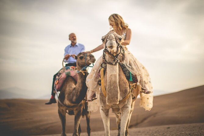Marrakech: Three Valleys, Atlas, Camel Ride, Waterfalls, & Lunch - What makes this Atlas day trip worth considering