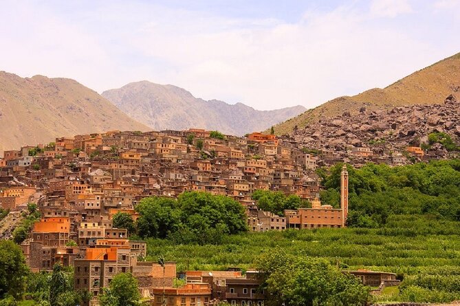 Marrakech: Three Valleys, Atlas, Camel Ride, Waterfalls, & Lunch - Lunch in a Berber family home