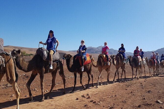 Marrakech: Three Valleys, Atlas, Camel Ride, Waterfalls, & Lunch - What the guide adds to the day