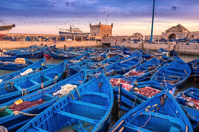 Marrakech to Essaouira: Day of Discovery Along Morocco Coastal - Key points at a glance