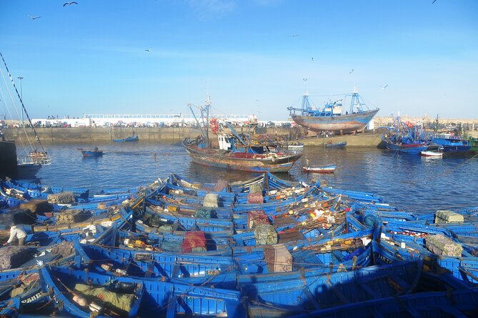 Marrakech to Essaouira: Day of Discovery Along Morocco Coastal - What the return drive is really like