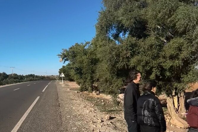 Marrakech to Essaouira / Small group day tour To Essaouira - Who will enjoy this day trip most