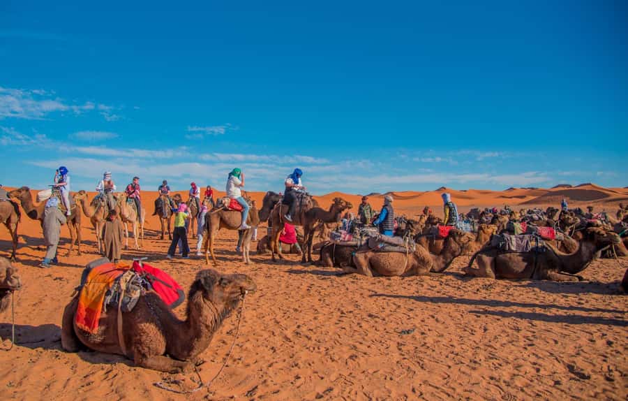 Marrakech to Fes: 3-Day Merzouga Desert Camel & Sandboarding - Crossing the High Atlas at Tizi nTichka