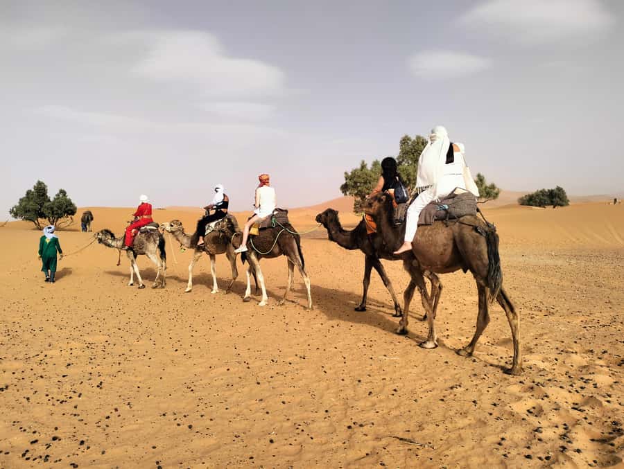 Marrakech to Fes 3 Days Sahara Desert Tour With Camel & Quad - Cedar forest, Azrou, and Ifrane before Fes